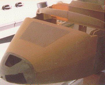 Nose top carved with cover